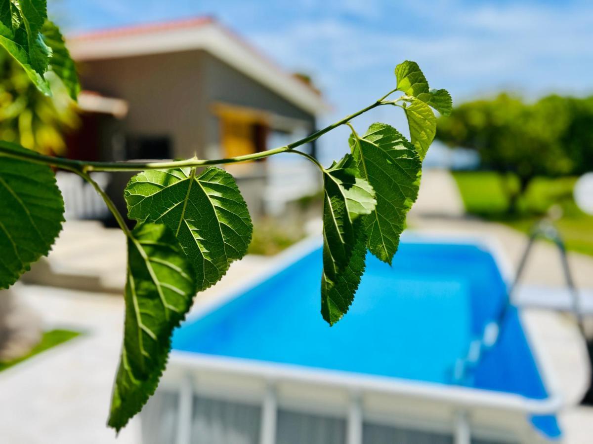 Gazonia Family Estate Hotel Skala  ภายนอก รูปภาพ
